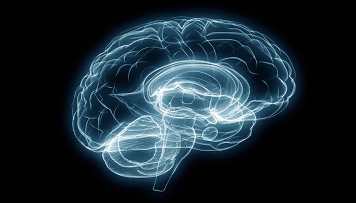 İnsan Beyninin Dil ile Kurduğu Garip İlişki